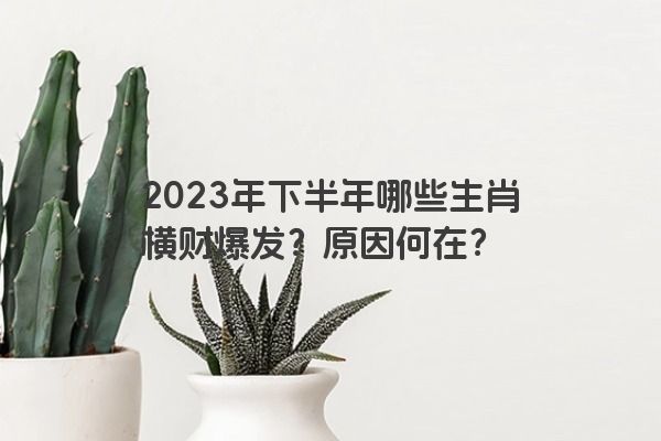 2023年下半年哪些生肖横财爆发？原因何在？