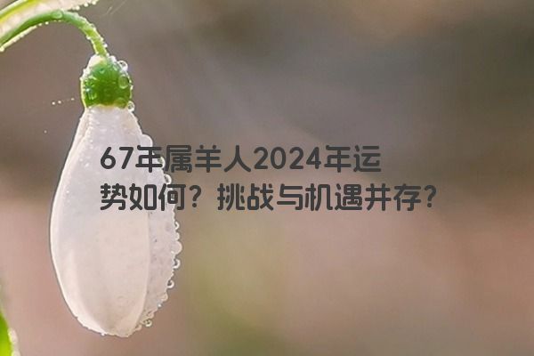 67年属羊人2024年运势如何？挑战与机遇并存？