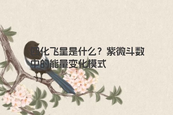 四化飞星是什么？紫微斗数中的能量变化模式