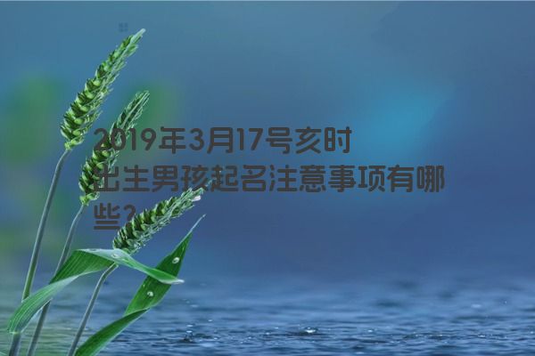 2019年3月17号亥时出生男孩起名注意事项有哪些？