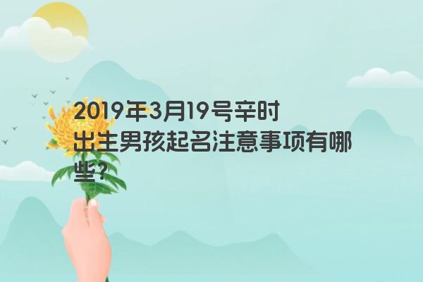 2019年3月19号辛时出生男孩起名注意事项有哪些？