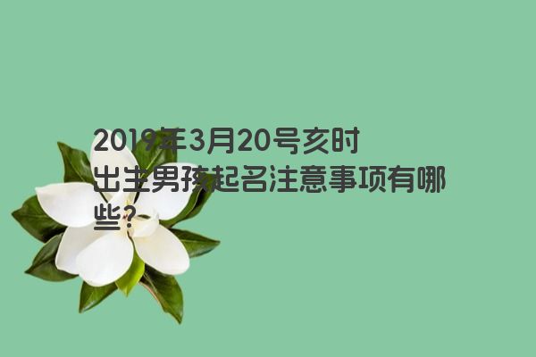 2019年3月20号亥时出生男孩起名注意事项有哪些？