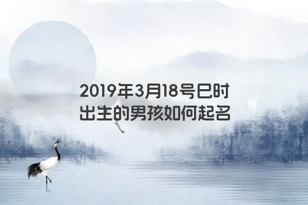 2019年3月18号巳时出生的男孩如何起名