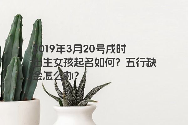 2019年3月20号戌时出生女孩起名如何？五行缺金怎么办？