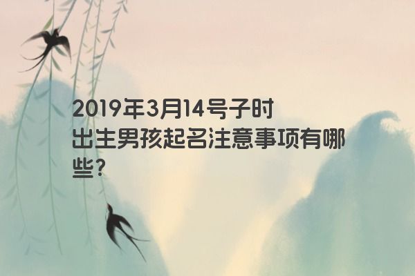2019年3月14号子时出生男孩起名注意事项有哪些？