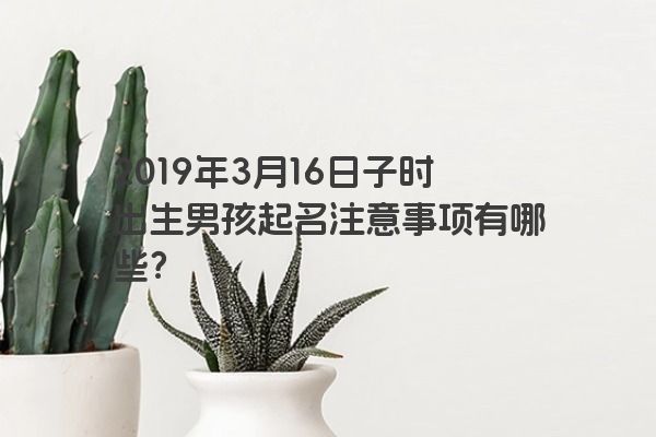 2019年3月16日子时出生男孩起名注意事项有哪些？