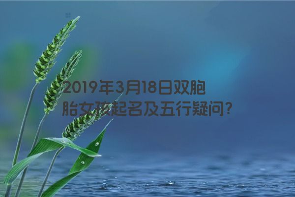 2019年3月18日双胞胎女孩起名及五行疑问？