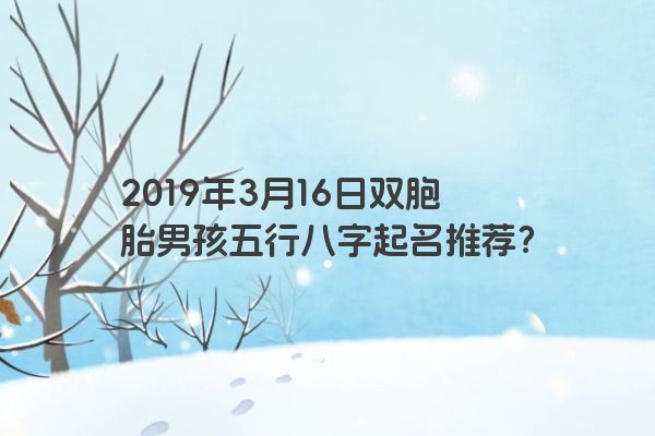 2019年3月16日双胞胎男孩五行八字起名推荐?