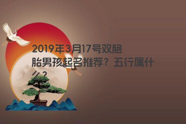 2019年3月17号双胞胎男孩起名推荐？五行属什么？