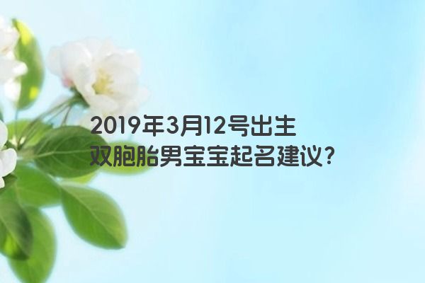 2019年3月12号出生双胞胎男宝宝起名建议？