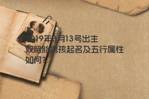 2019年3月13号出生双胞胎男孩起名及五行属性如何？