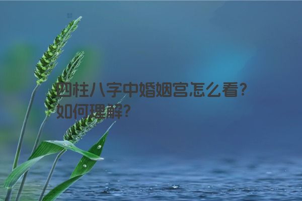 四柱八字中婚姻宫怎么看？如何理解？