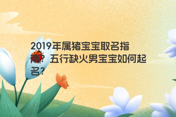 2019年属猪宝宝取名指南？五行缺火男宝宝如何起名？