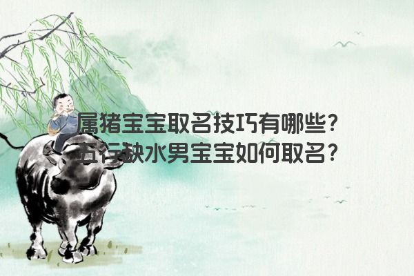 属猪宝宝取名技巧有哪些?五行缺水男宝宝如何取名?