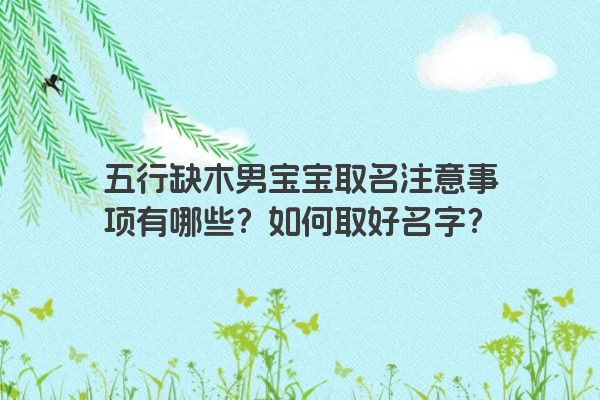 五行缺木男宝宝取名注意事项有哪些？如何取好名字？
