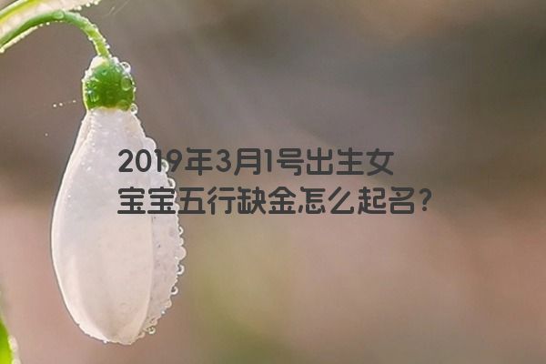 2019年3月1号出生女宝宝五行缺金怎么起名？