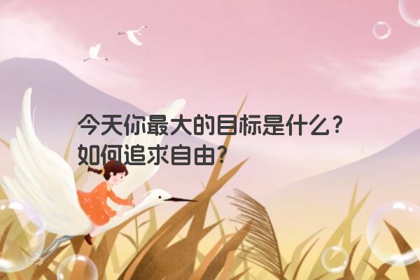 今天你最大的目标是什么?如何追求自由?