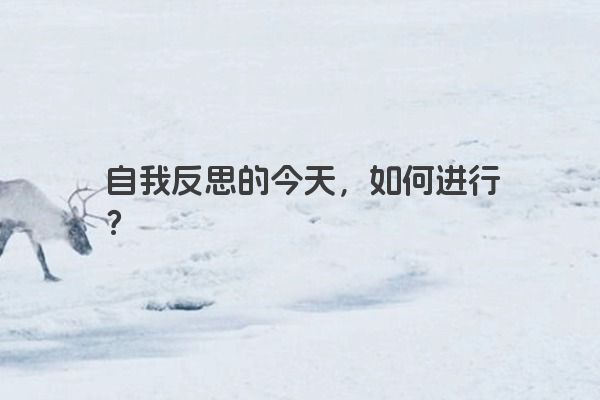 自我反思的今天，如何进行？
