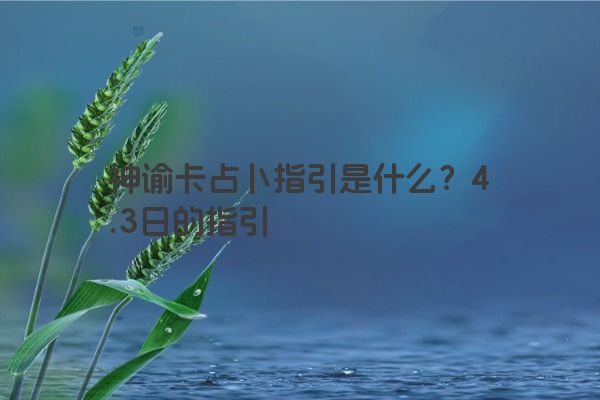 神谕卡占卜指引是什么？4.3日的指引