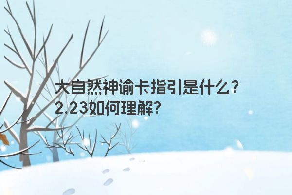 大自然神谕卡指引是什么？2.23如何理解？