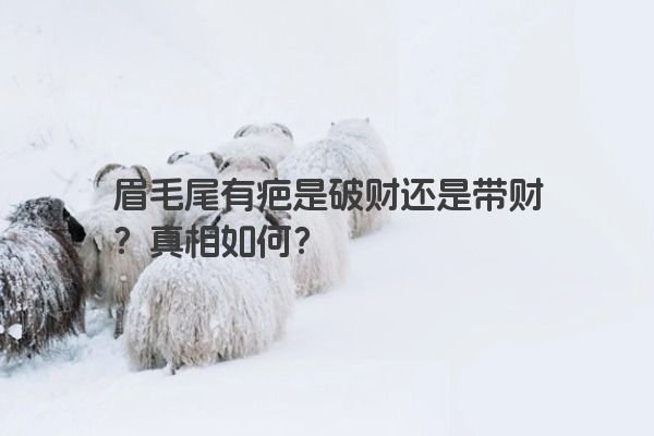 眉毛尾有疤是破财还是带财？真相如何？