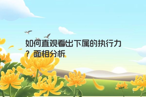 如何直观看出下属的执行力？面相分析