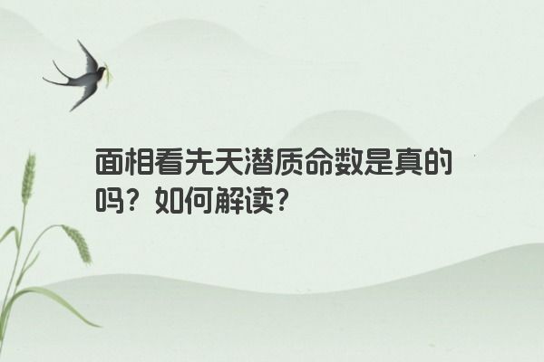 面相看先天潜质命数是真的吗？如何解读？
