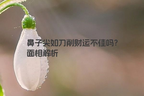鼻子尖如刀削财运不佳吗？面相解析