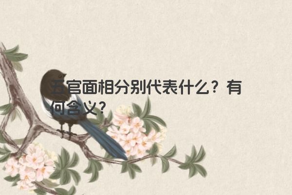 五官面相分别代表什么？有何含义？