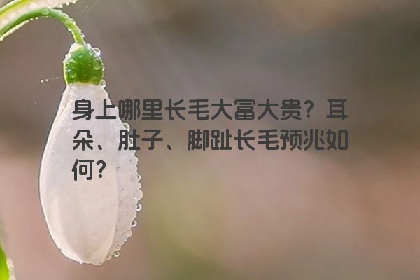 身上哪里长毛大富大贵？耳朵、肚子、脚趾长毛预兆如何？