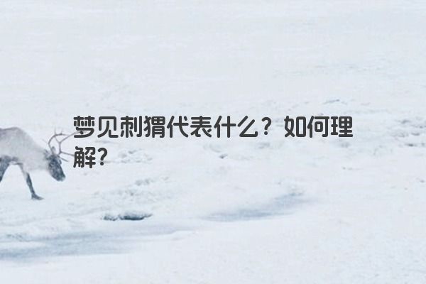 梦见刺猬代表什么?如何理解?