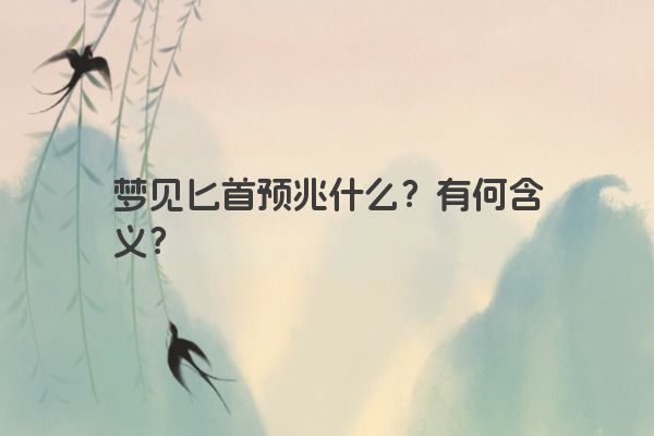 梦见匕首预兆什么？有何含义？