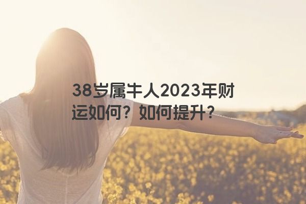 38岁属牛人2023年财运如何？如何提升？