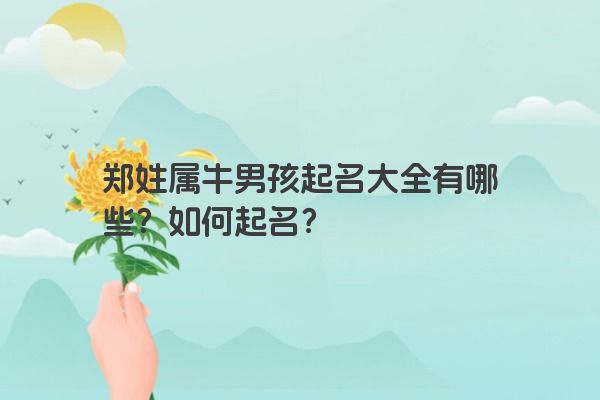 郑姓属牛男孩起名大全有哪些？如何起名？