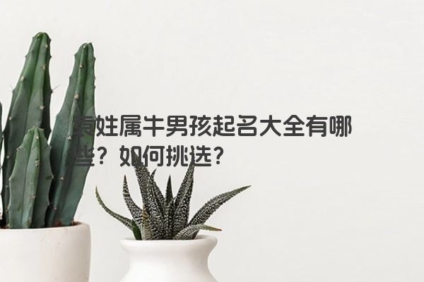袁姓属牛男孩起名大全有哪些？如何挑选？