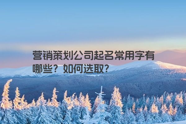 营销策划公司起名常用字有哪些？如何选取？