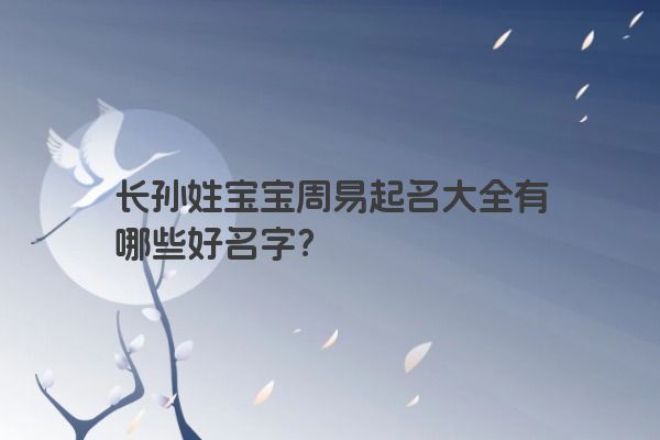 长孙姓宝宝周易起名大全有哪些好名字?