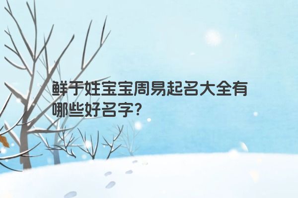 鲜于姓宝宝周易起名大全有哪些好名字？