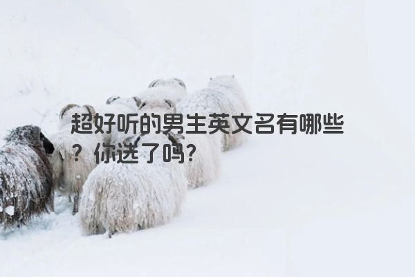 超好听的男生英文名有哪些？你选了吗？