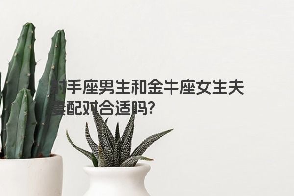 射手座男生和金牛座女生夫妻配对合适吗？