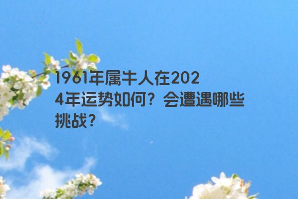 1961年属牛人在2024年运势如何?会遭遇哪些挑战?