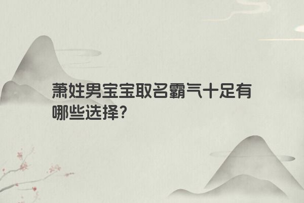 萧姓男宝宝取名霸气十足有哪些选择？