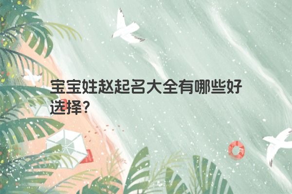 宝宝姓赵起名大全有哪些好选择？