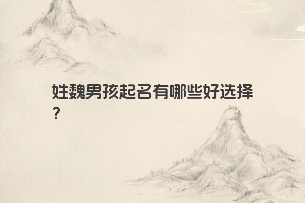 姓魏男孩起名有哪些好选择？