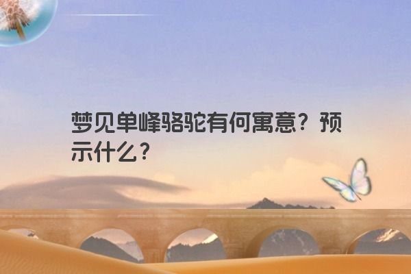 梦见单峰骆驼有何寓意？预示什么？